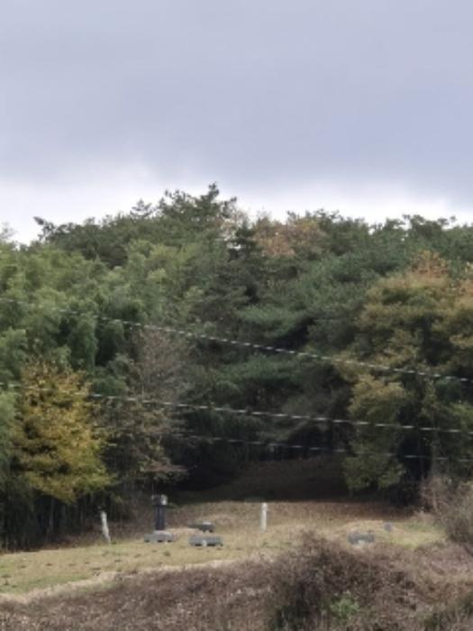 전라남도 장성군 동화면 구림리 370 전 경매 사진 16