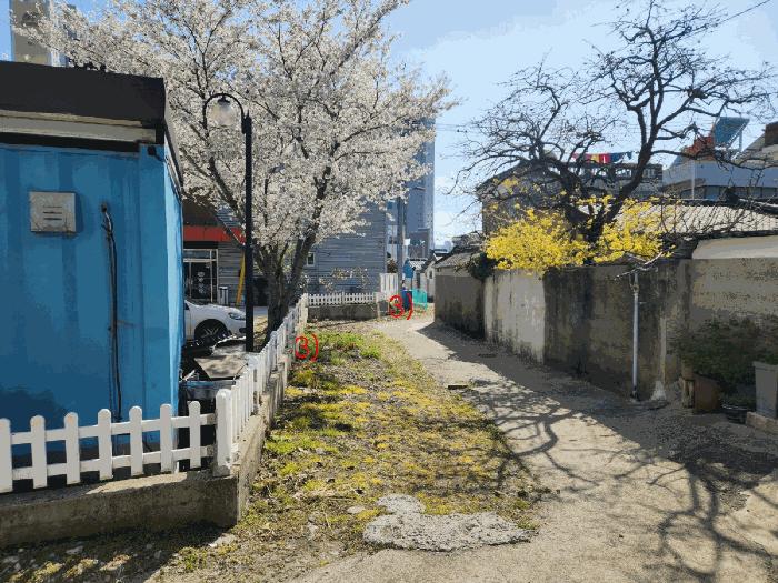 전라남도 화순군 화순읍 교리 102-11 근린시설 경매 사진 2