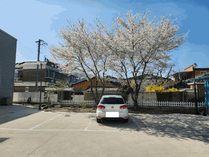 전라남도 화순군 화순읍 교리 102-11 근린시설 경매 사진 7