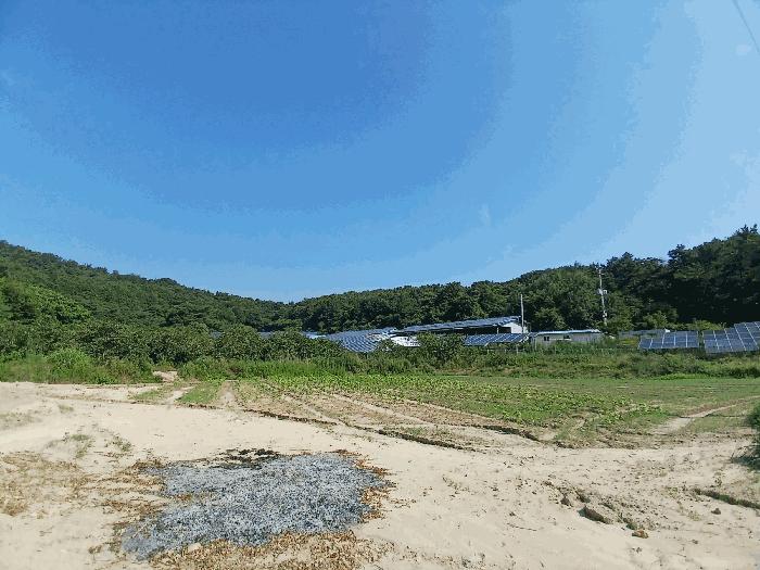 광주광역시 광산구 덕림동 산161-1 임야 경매 사진 1