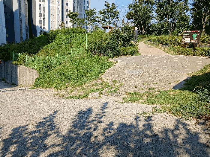 광주광역시 광산구 덕림동 산161-1 임야 경매 사진 3