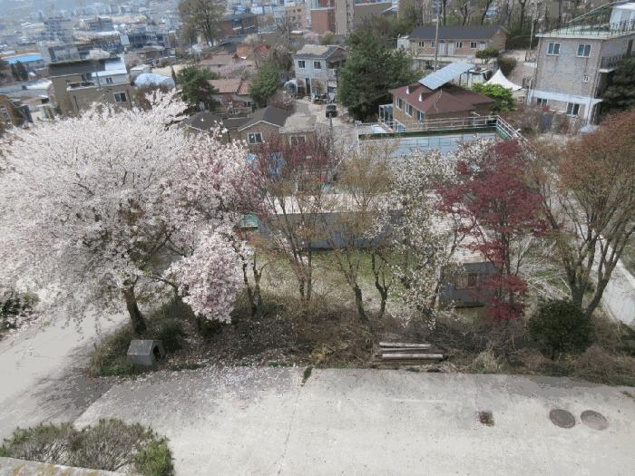 인천광역시 중구 운남동 526-12 주택 경매 사진 12