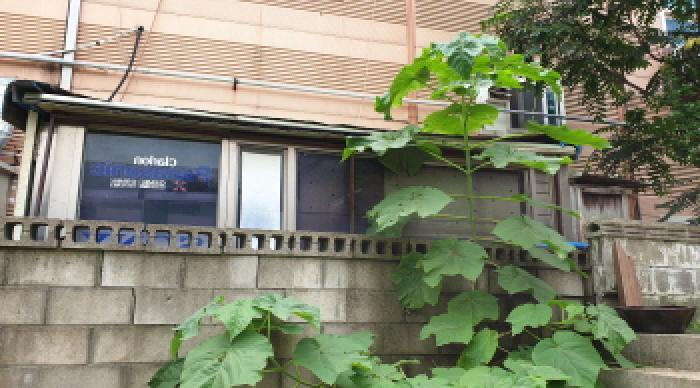 경기도 김포시 풍무동 45 근린시설 경매 사진 17