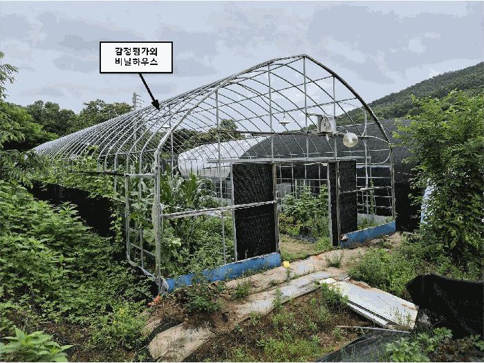 경기도 시흥시 군자동 461-1 전 경매 사진 6
