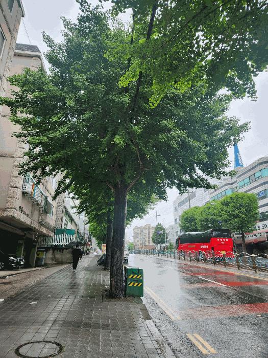 경기도 부천시 원미구 심곡동 352-20 복사골맨션 나동 3층 304호 다세대(빌라) 경매 사진 2