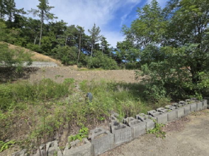 경상북도 영천시 오미동 1241-45 임야 경매 사진 14