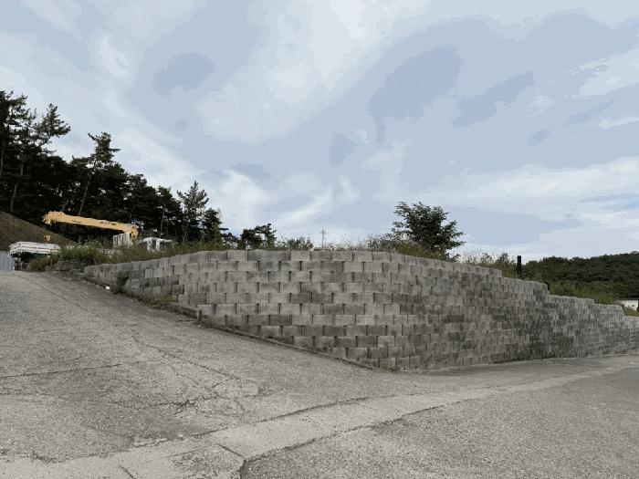 경상북도 영천시 오미동 1241-45 임야 경매 사진 2