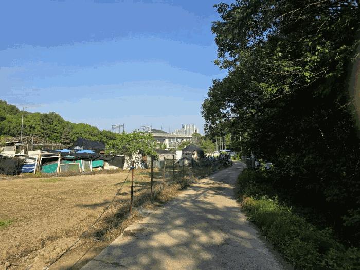 경기도 안산시 상록구 팔곡일동 352 답 경매 사진 1