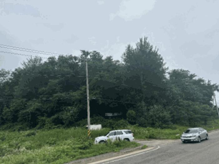 경기도 파주시 적성면 객현리 산100-1 임야 경매 사진 4