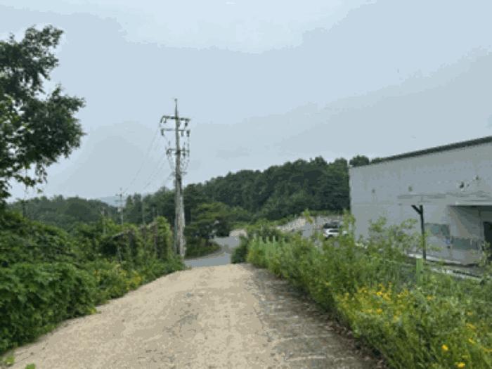 경기도 파주시 적성면 객현리 산100-1 임야 경매 사진 6