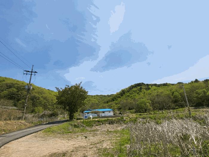 경기도 파주시 법원읍 법원리 산62 임야 경매 사진 3
