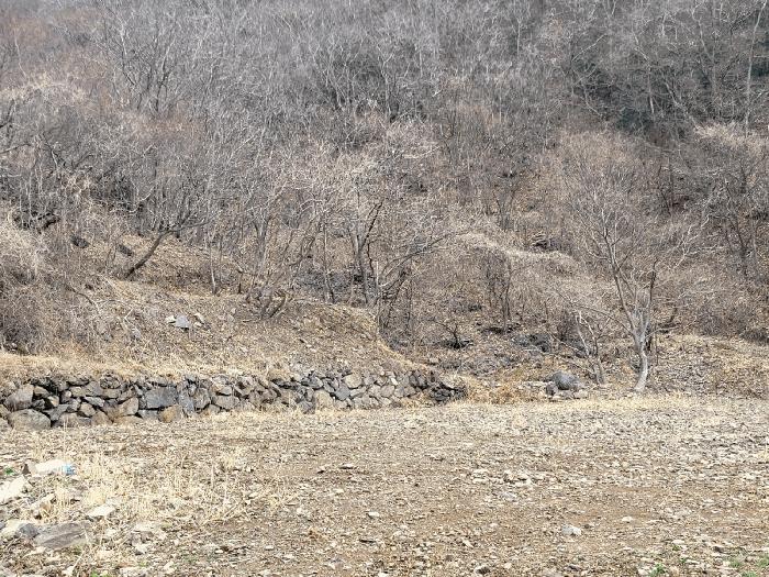 경상남도 양산시 원동면 원리 산126 임야 경매 사진 4