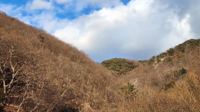 경상남도 양산시 원동면 원리 산126 임야 경매 사진 7