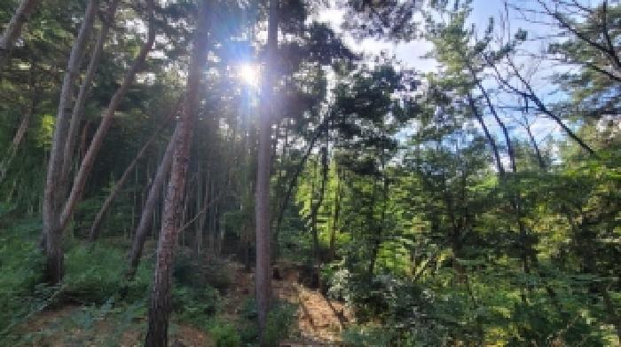 경상남도 함안군 법수면 강주리 16 전 경매 사진 9