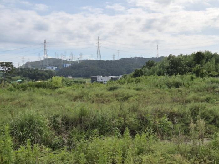 울산광역시 울주군 서생면 명산리 산41-11 임야 경매 사진 4