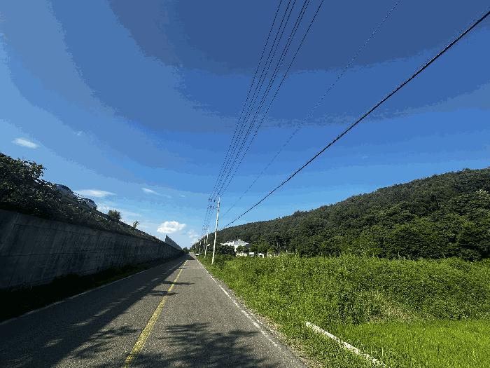 울산광역시 울주군 두서면 미호리 56-3 답 경매 사진 3