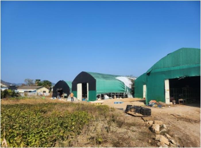 부산 강서구 답