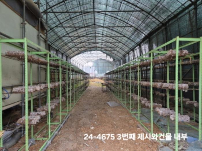 부산광역시 강서구 대저1동 1180 답 경매 사진 11