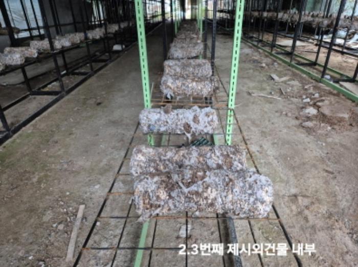 부산광역시 강서구 대저1동 1180 답 경매 사진 12