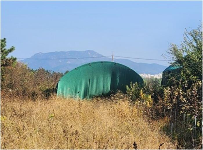 부산광역시 강서구 대저1동 1180 답 경매 사진 2
