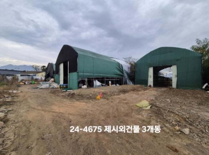 부산광역시 강서구 대저1동 1180 답 경매 사진 9