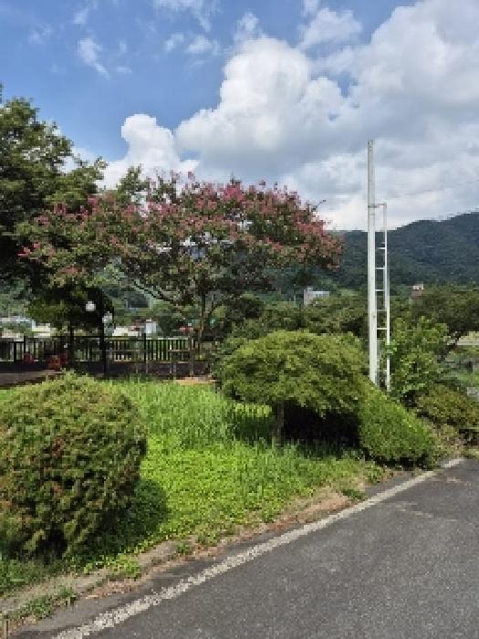 전라남도 장성군 북하면 약수리 334-2 대지 경매 사진 5