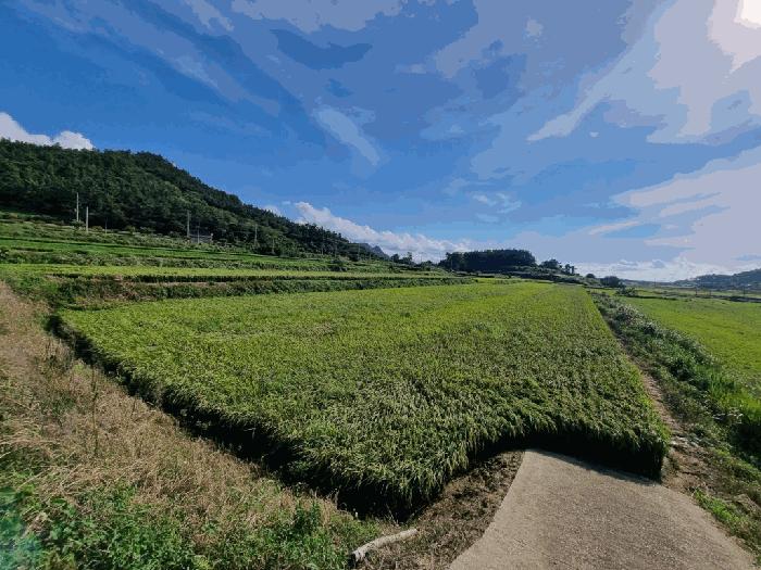 전라남도 영광군 염산면 송암리 339-8 잡종지 경매 사진 7