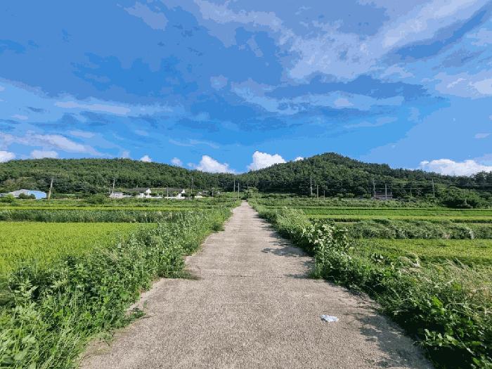 전라남도 영광군 염산면 송암리 756-5 답 경매 사진 6
