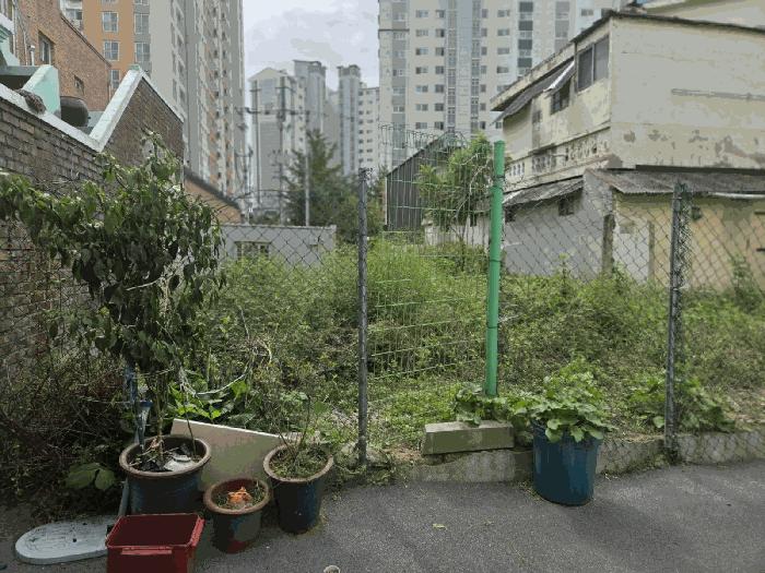 광주광역시 동구 산수동 559-71 대지 경매 사진 2
