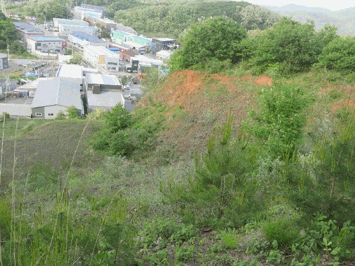 경기도 화성시 팔탄면 창곡리 27-5 과수원 경매 사진 8