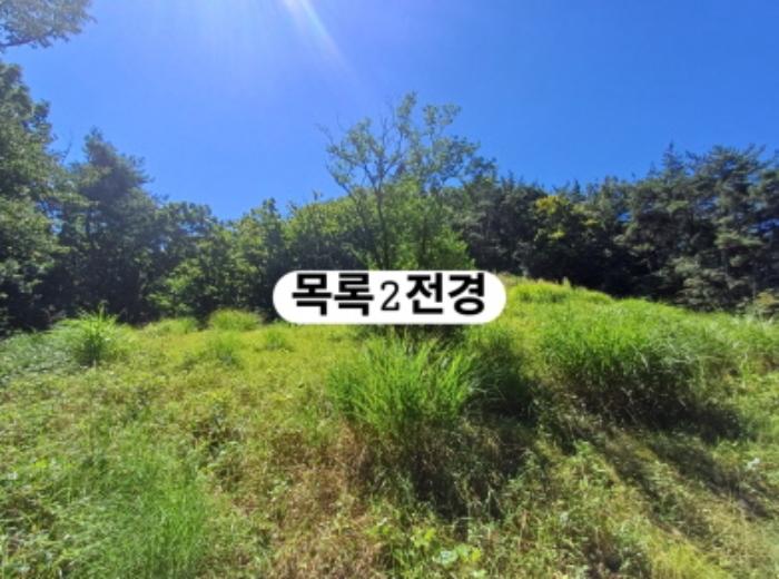 부산광역시 강서구 생곡동 758 전 경매 사진 17