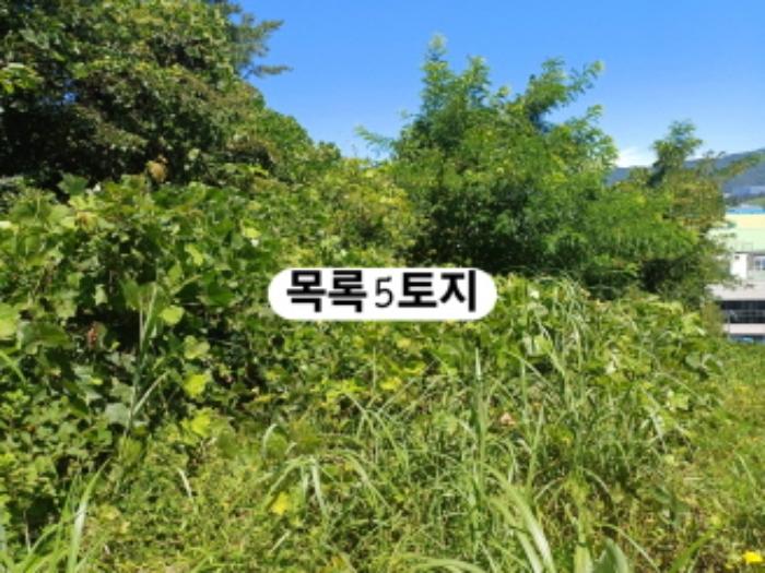 부산광역시 강서구 생곡동 758 전 경매 사진 19