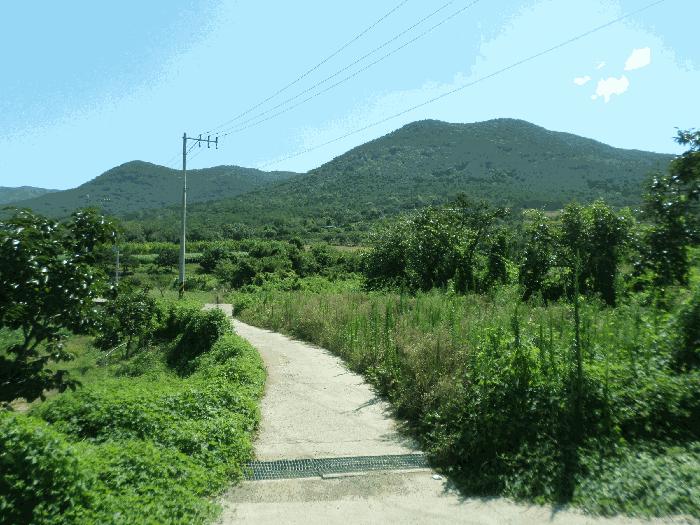 경상북도 청도군 금천면 신지리 35 답 경매 사진 3