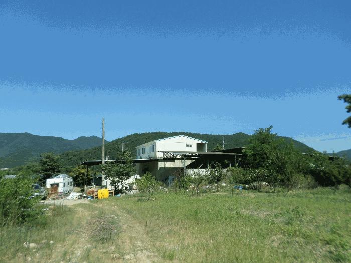 경상북도 청도군 금천면 신지리 35 답 경매 사진 4