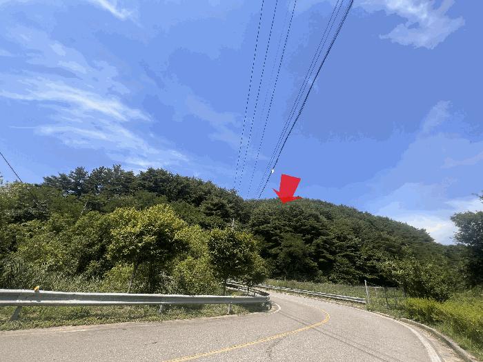 강원특별자치도 삼척시 근덕면 상맹방리 산127 임야 경매 사진 2