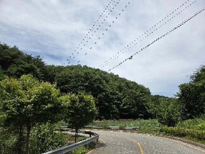 강원특별자치도 삼척시 근덕면 상맹방리 산127 임야 경매 사진 4