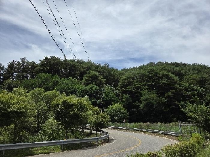 강원특별자치도 삼척시 근덕면 상맹방리 산127 임야 경매 사진 5