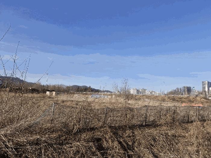 강원특별자치도 원주시 무실동 119 전 경매 사진 11