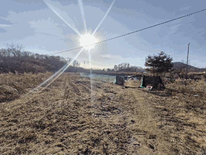 강원특별자치도 원주시 무실동 127-2 답 경매 사진 10