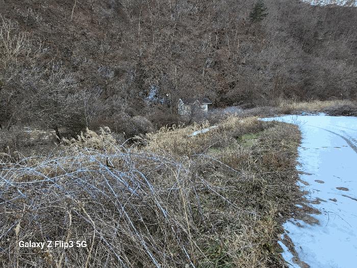 충청남도 논산시 벌곡면 사정리 399 펜션(캠핑장) 경매 사진 11