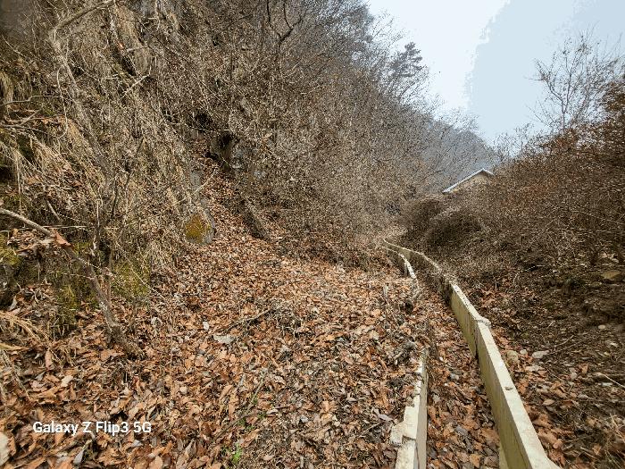 충청남도 논산시 벌곡면 사정리 399 펜션(캠핑장) 경매 사진 18