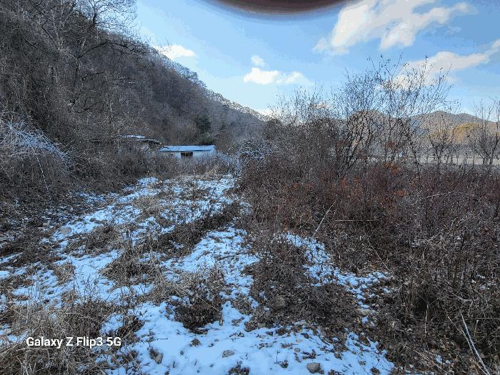 충청남도 논산시 벌곡면 사정리 399 펜션(캠핑장) 경매 사진 2