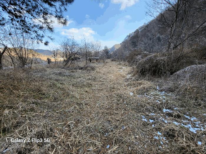 충청남도 논산시 벌곡면 사정리 399 펜션(캠핑장) 경매 사진 4