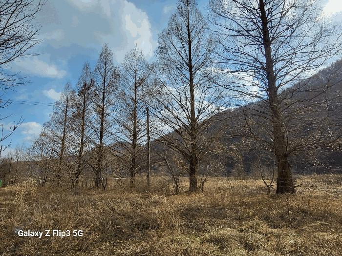 충청남도 논산시 벌곡면 사정리 399 펜션(캠핑장) 경매 사진 5