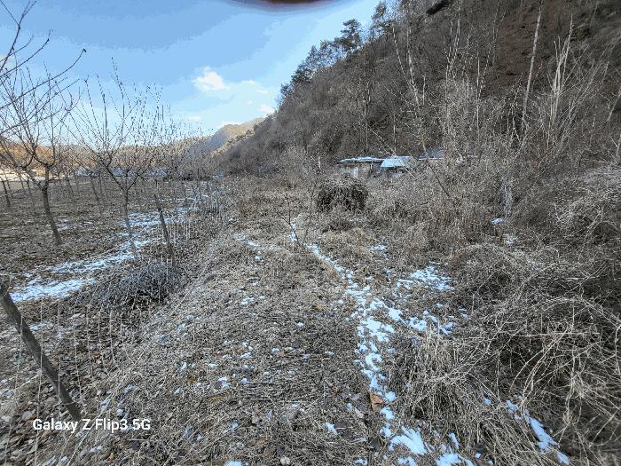 충청남도 논산시 벌곡면 사정리 459-4 상가 경매 사진 1
