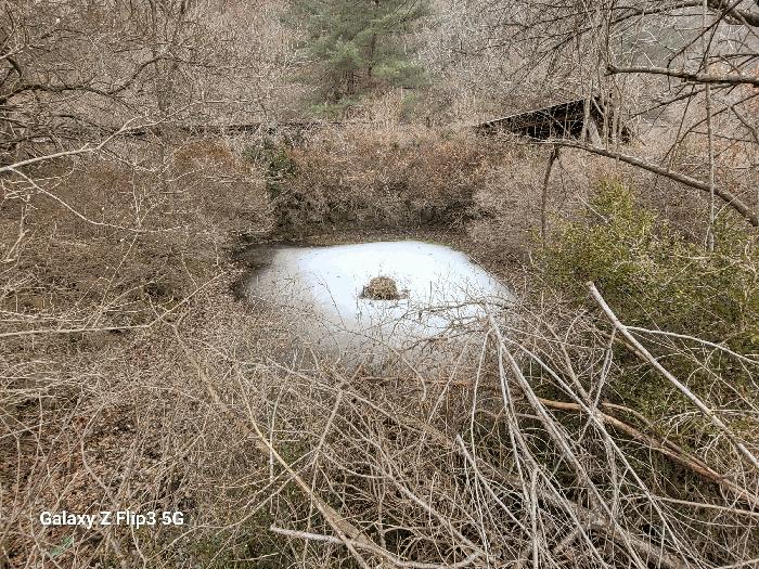 충청남도 논산시 벌곡면 사정리 459-4 상가 경매 사진 15