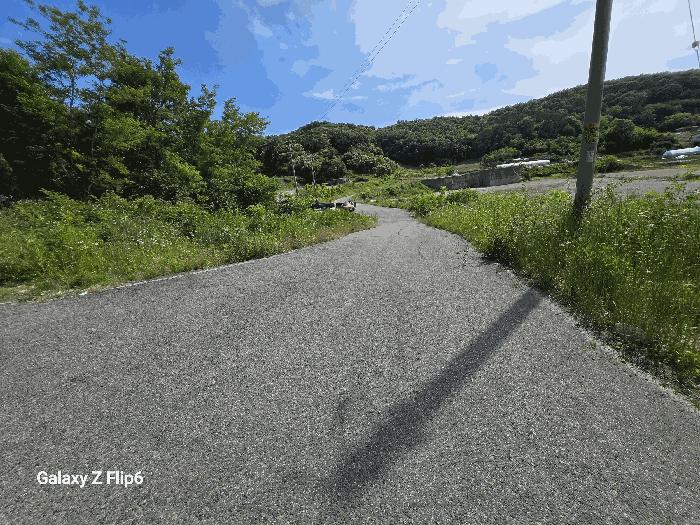 충청남도 부여군 임천면 점리 414-2 공장용지 경매 사진 4