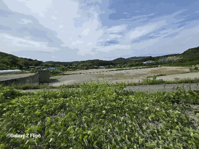 충청남도 부여군 임천면 점리 414-2 공장용지 경매 사진 5