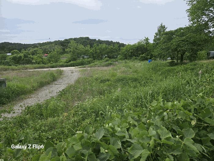 충청남도 부여군 임천면 점리 414-2 공장용지 경매 사진 6