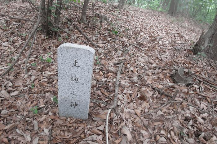 충청남도 부여군 장암면 지토리 산111-12 임야 경매 사진 6